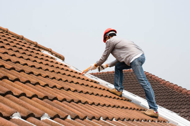 Sheet Metal Roofing in Princeton, MN