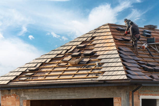 Best Solar Panel Roofing Installation  in Princeton, MN