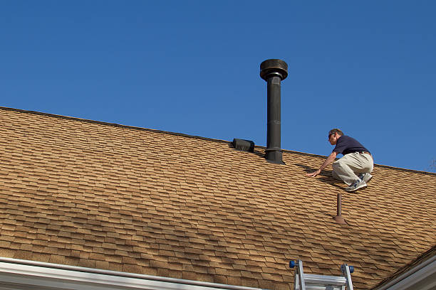 Best Roof Leak Repair  in Princeton, MN